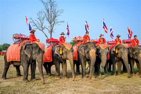 泰國大象意義